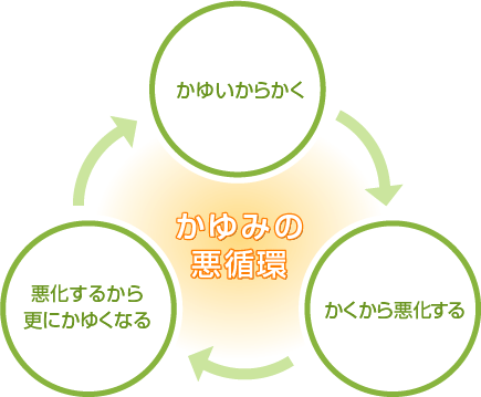 かゆいからかく＞かくから悪化する＞悪化するから更にかゆくなる（かゆみの悪循環）